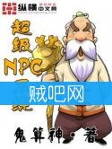 npcϵͳ