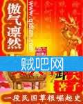 傲气凛然封面