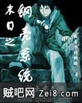 末日之钢壳系统 末日之钢壳系统