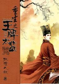 重生之王牌太监封面