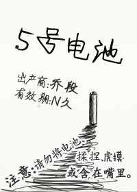 5号电池封面