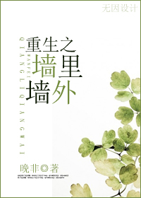 重生之墙里墙外封面