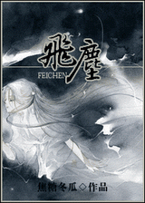 飞尘封面