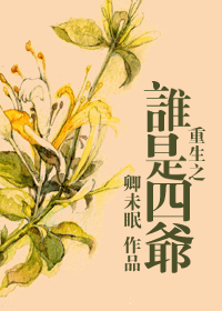 重生之谁是四爷封面