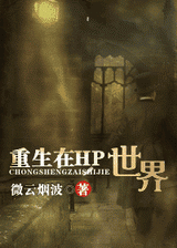 重生在hp世界封面