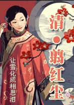 飞跃时空守护爱(清穿)封面