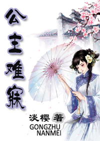 公主难寐封面