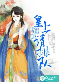 皇上请排队封面