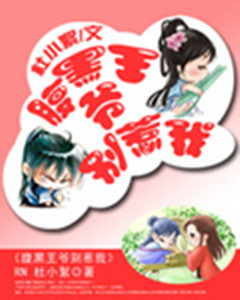 腹黑王爷别惹我封面