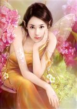 妾十三封面