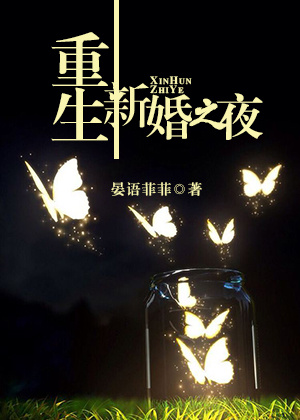 �����»�֮ҹ����