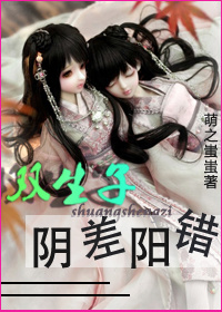 双生子阴差阳错封面