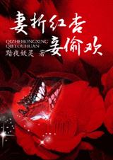 妻折红杏妾偷欢封面