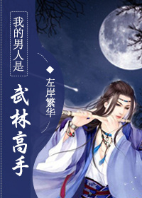 我的男人是武林高手封面