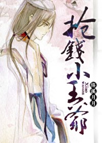 抢钱小王爷封面