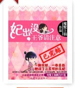 妃出没,王爷请注意封面