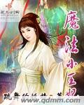 魔法小王妃封面