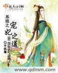 系统之宠妃之道封面