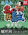 三国之袁家我做主封面