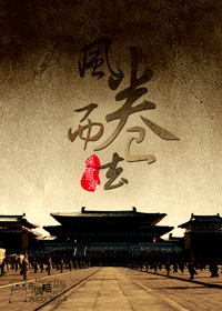风卷而去封面