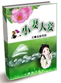 小妻大妾封面