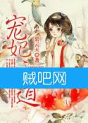 宠妃之道封面