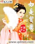 如是贤妻封面