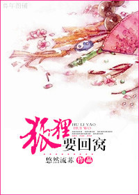 狐狸要回窝封面