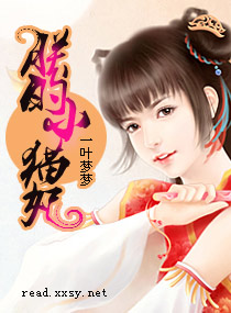 朕的小猫妃封面