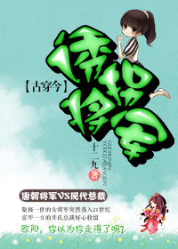 诱拐将军封面