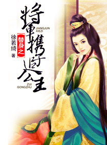 替身之将军携子追公主封面