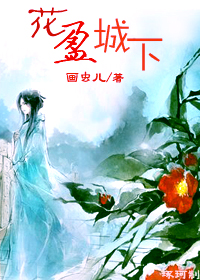 花盈城下封面