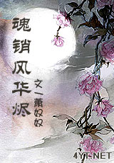魂销风华烬封面
