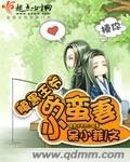 腹黑王爷的小蛮妻-痴傻公主变形记封面