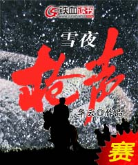 雪夜枪声 雪夜枪声