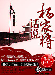 话说杨家将封面