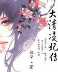 大清凌妃传封面