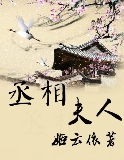 丞相夫人-大商人封面