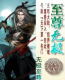 至尊无极封面