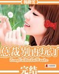 总裁别再玩了封面