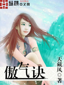 傲气诀封面
