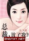 总裁,放了我(全文&番外)封面
