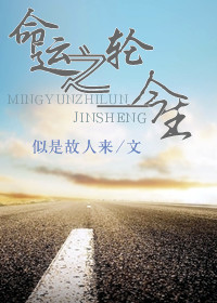 命运之轮--今生封面