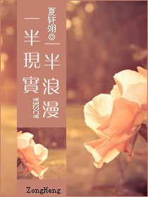 一半现实一半浪漫封面