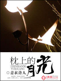 枕上的月光封面