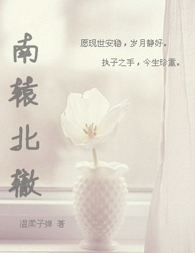 南辕北辙封面