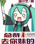 总裁去你妹的封面