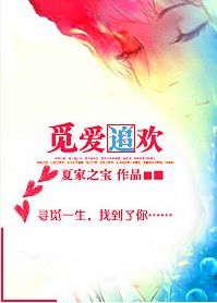 觅爱追欢封面