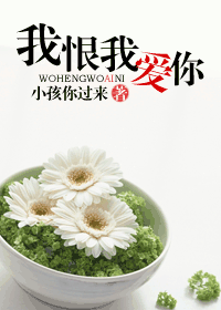 我恨我爱你封面