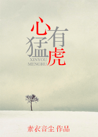 心有猛虎封面